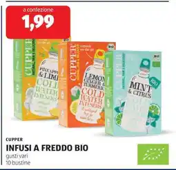 ALDI CUPPER INFUSI A FREDDO BIO offerta