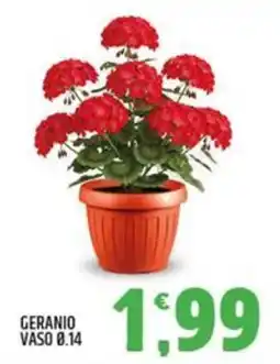 Ard Discount Geranio offerta