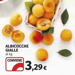 Coop Albicocche gialle offerta