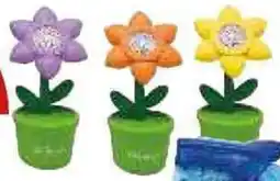 PENNY Soffiabolle piante esotiche offerta