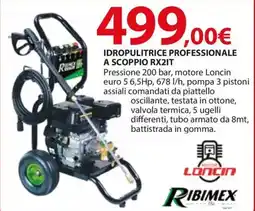 Kreo Brico e Casa RIBIMEX IDROPULITRICE PROFESSIONALE A SCOPPIO RX2IT offerta