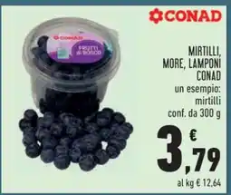 Conad MIRTILLI, MORE, LAMPONI CONAD offerta