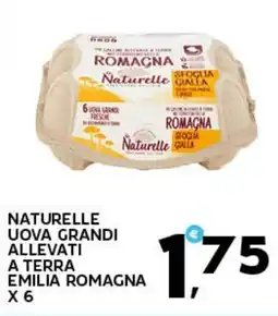 Extra Supermercati Naturelle uova grandi allevati a terra emilia romagna x6 offerta