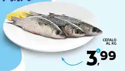 Extra Supermercati Cefalo al kg offerta