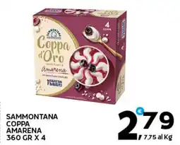 Extra Supermercati Sammontana coppa amarena offerta