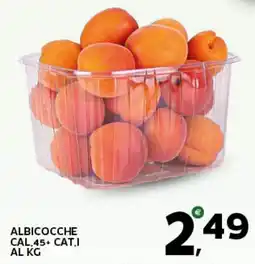 Extra Supermercati Albicocche cal.45+ cat.i al kg offerta