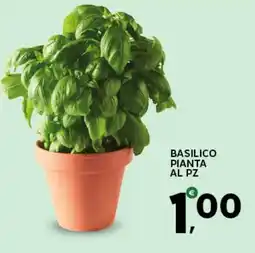 Extra Supermercati Basilico pianta al pz offerta