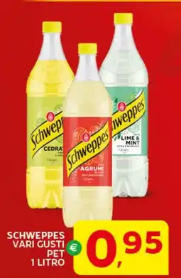 Extra Supermercati Schweppes pet offerta