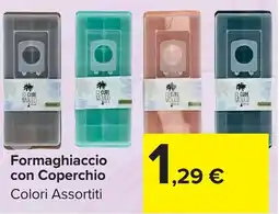 Carrefour Market Formaghiaccio con Coperchio offerta