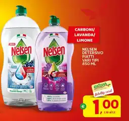 Extra Supermercati Nelsen detersivo piatti offerta