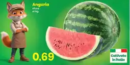 Prix Quality Anguria offerta