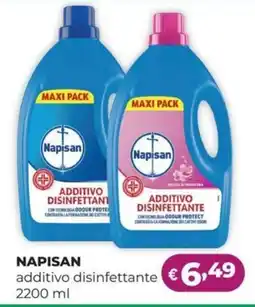 La Saponeria NAPISAN additivo disinfettante offerta