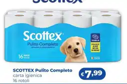 Acqua & Sapone Scottex Pulito Completo offerta