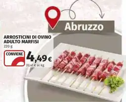 Coop ARROSTICINI DI OVINO ADULTO MARFISI offerta