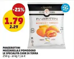 PENNY Panzerottini mozzarella e pomodoro LE SPECIALITÀ CUOR DI TERRA offerta