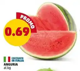 PENNY Anguria offerta