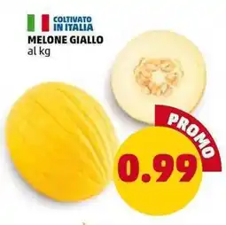 PENNY Melone giallo offerta