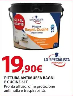 Kreo Brico e Casa Lo specialista pittura antimuffa bagni e cucine offerta