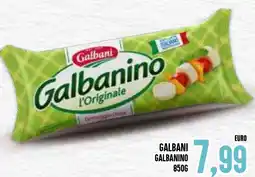 Al Discount Galbani galbanino offerta