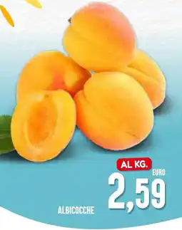 Al Discount Albicocche offerta