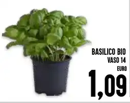 Al Discount Basilico bio vaso 14 offerta