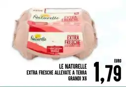 Al Discount Le naturelle extra fresche allevate a terra grandi x6 offerta