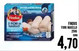 Al Discount Findus fiori nasello offerta