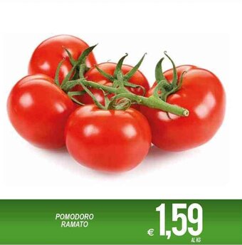 MD Discount Pomodoro Ramato offerta