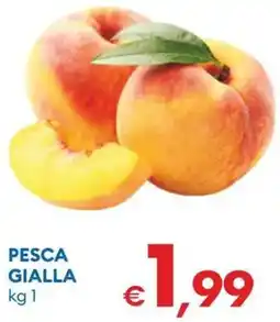 MD Discount Pesca gialla offerta