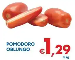 MD Discount Pomodoro oblungo offerta
