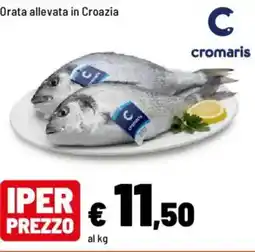 Iper La Grande Cromaris Orata allevata in Croazia offerta