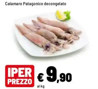 Iper La Grande Calamaro Patagonico decongelato offerta