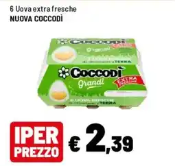 Iper La Grande 6 Uova extra fresche NUOVA COCCODÌ offerta