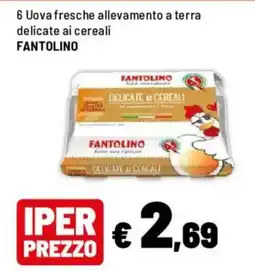 Iper La Grande 6 Uova fresche allevamento a terra delicate ai cereali FANTOLINO offerta