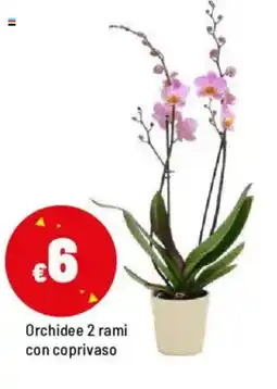 Iper La Grande Orchidee 2 rami con coprivaso offerta