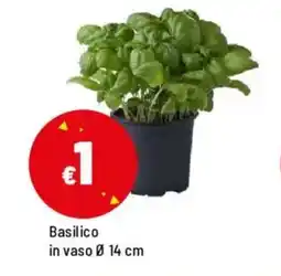 Iper La Grande Basilico in vaso Ø 14 cm offerta