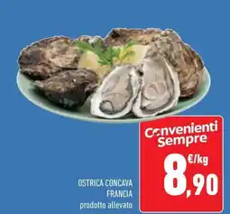 Conad Superstore Ostrica concava francia offerta