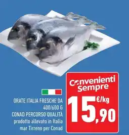 Conad Superstore Orate italia fresche CONAD PERCORSO QUALITÀ offerta