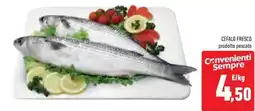 Conad Superstore Cefalo fresco offerta