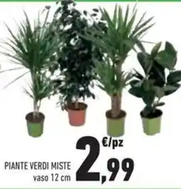 Conad Superstore Piante verdi miste offerta