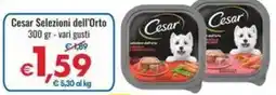 MD Discount Cesar Selezioni dell'Orto offerta