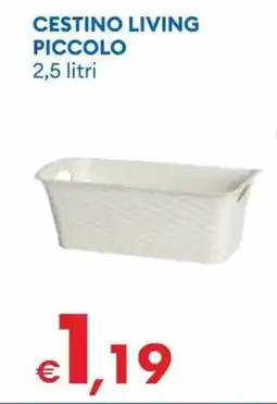 MD Discount Cestino living piccolo offerta