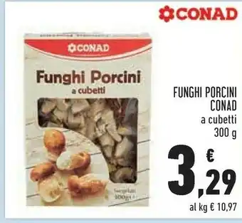 Conad City Conad funghi porcini offerta