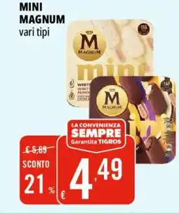 Tigros Mini MAGNUM offerta