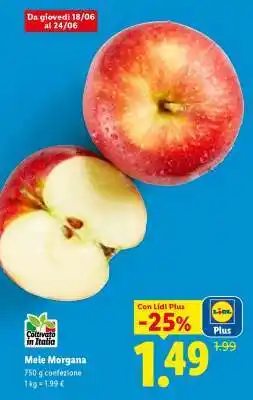Lidl MELE MORGANA offerta