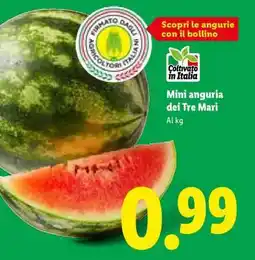 Lidl Mini anguria dei Tre Mari offerta