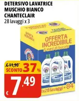 Tigros Detersivo lavatrice muschio bianco CHANTECLAIR offerta