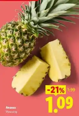 Lidl Ananas offerta