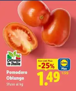 Lidl Pomodoro Oblungo offerta