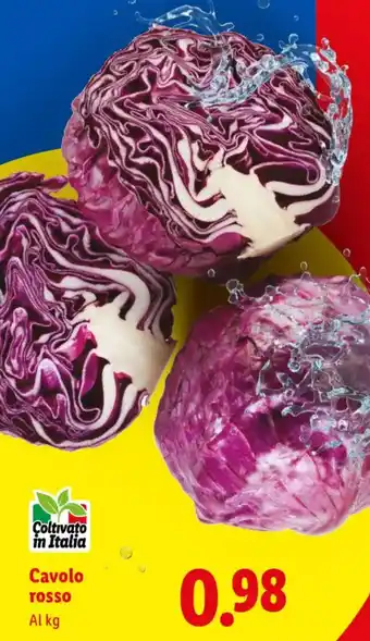 Cavolo rosso